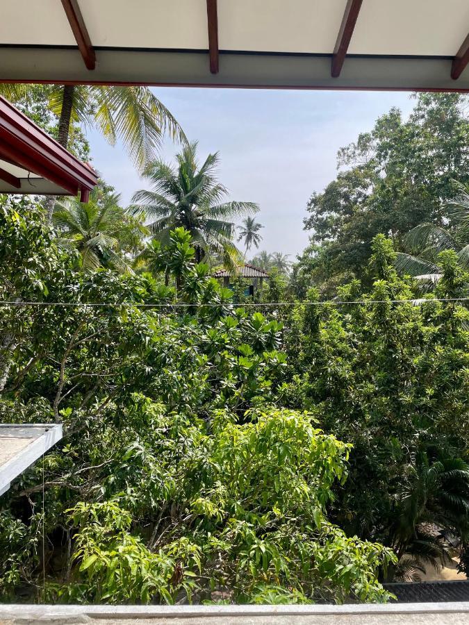 Jungle Escape Hiriketiya Hotell Dikwella Exteriör bild