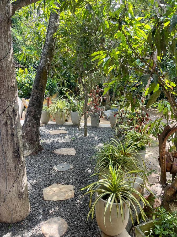 Jungle Escape Hiriketiya Hotell Dikwella Exteriör bild